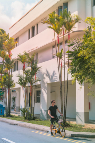 Bike-Tour durch Singapur, Bauhaus Architektur